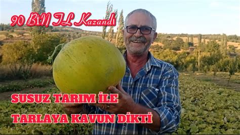 D N M Kavun Tarlas Ndan Ata Tohumu Organik Kavun Yeti Tiricili I