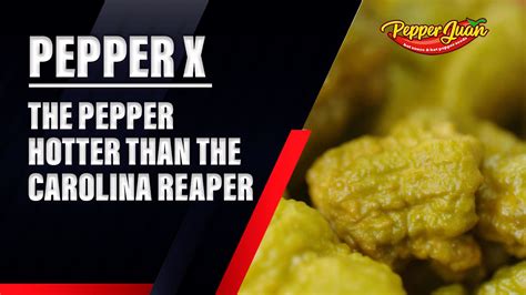 Pepper X The Pepper Hotter Than The Carolina Reaper Pepper Juan