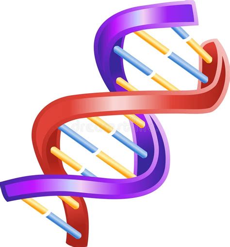 Illustratie Van De Glanzende Dubbele Schroef Van Dna Vector Illustratie