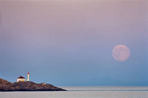 1,400+ Vancouver Island Lighthouses Stock Photos, Pictures & Royalty ...