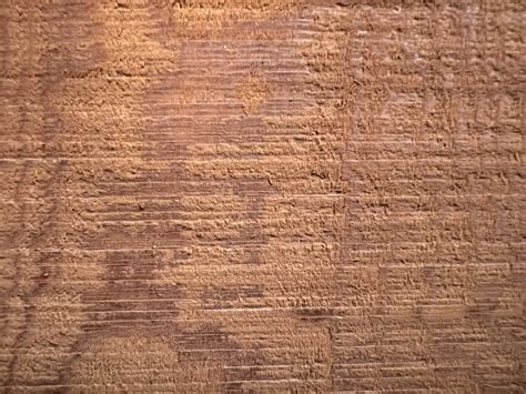 Visitor Information for All Souls Parish Catholic Cemetery 19