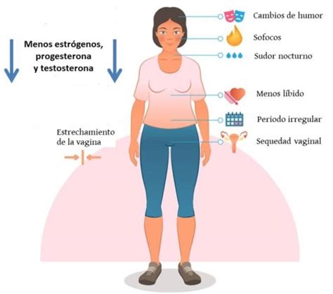 Efectos De La Menopausia En La Salud Tu Canal De Salud