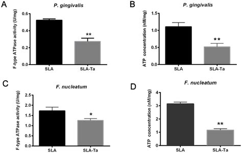 F Type ATP Synthase Activity Of P Gingivalis A And F Nucleatum C