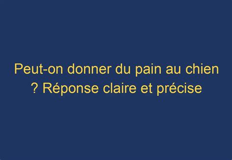 Peut On Donner Du Pain Au Chien R Ponse Claire Et Pr Cise Chien Comment