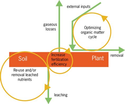 Nutrient Management In Crop Production Download Scientific Diagram