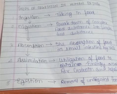 STEPS OF DIGESTION IN HUMAN BEING Ingestion → Taking in food | Filo