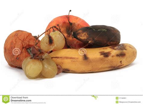 Fruta Podre Cai Sozinha - Fruta podre não cai: Ela já está no chão, só não sabe disto.