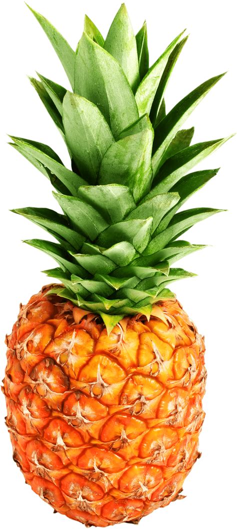 Pineapple PNG Images Transparent Free Download | PNGMart.com