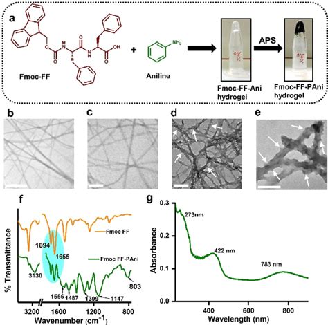 Preparation And Characterization Of The Fmoc Ff Pani Hydrogels Fmoc Ff