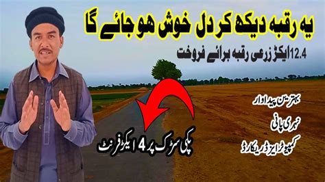 Acre Zari Raqba Agriculture Land For Sale In Punjab Pakistan Youtube