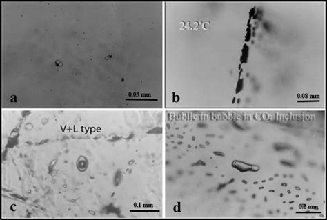 Microphotographs Of Representative Primary Fluid Inclusions In Fluorite