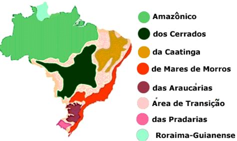 Dom Nios Morfoclim Ticos Do Brasil Resumo Caracter Sticas