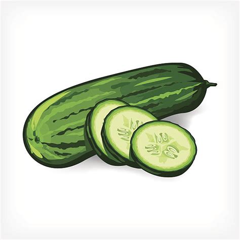 Cucumber Illustrations Royalty Free Vector Graphics And Clip Art Istock