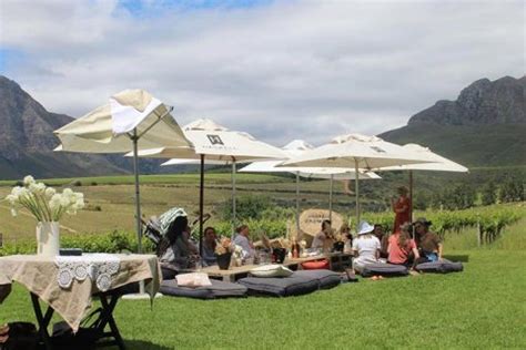 The Best Stellenbosch Wine Farms