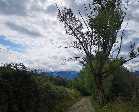 Llivia camí de Ur 6 Montse Marimón Llorca Flickr