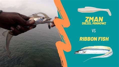 Ribbon Fish On Zman Diezel Minnowz Is Zman Diezel Minnowz Really 10x