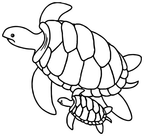 Turtle Coloring Pages Printable