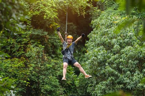 Natural Wonders of Whangarei | Whangarei NZ Getaway | NeedaBreak NZ