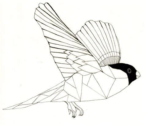 Geometric Bird Drawing At Explore Collection Of