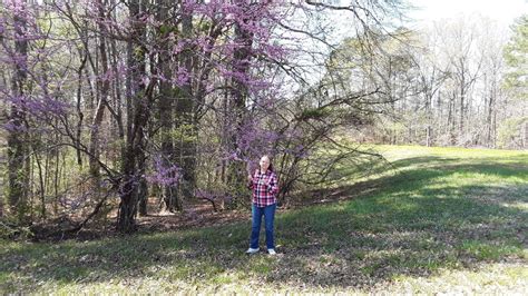 Natchez Trace Parkway Day 2 Kosciusko Ms Past Tupelo Ms To Florence