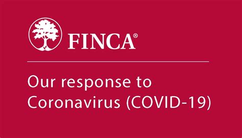 Fincas Response To Covid 19 Finca