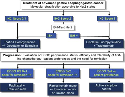 Management Of Metastatic Gastric Cancer Hematology Oncology Clinics