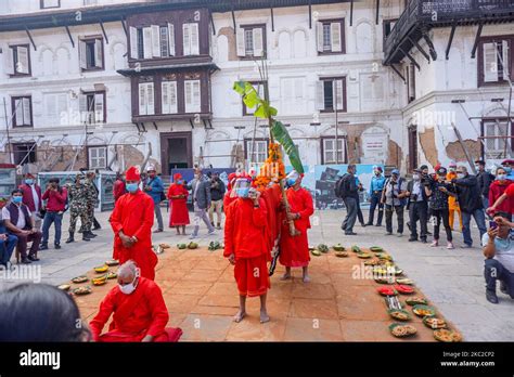 Nepali Hindu Devotees Wearing Face Shield And Facial Mask Carry Plants