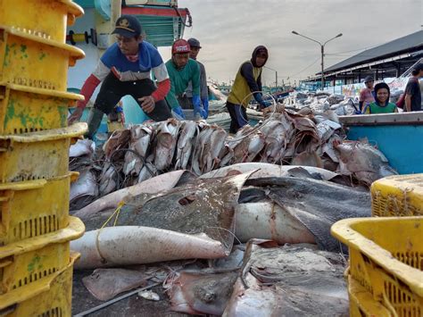 Penangkapan Ikan Terukur Untuk Nelayan Kecil Atau Pelaku Usaha