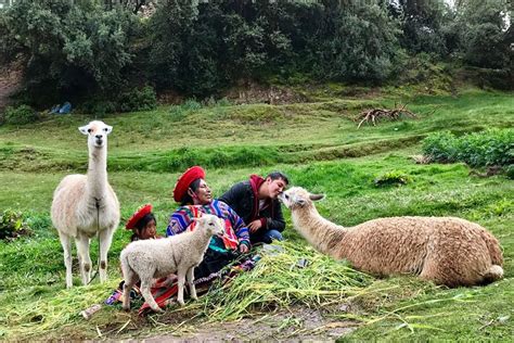 Machu Picchu Full Day From Cusco