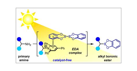 Photoinduced Deaminative Borylation Of Alkylamines Journal Of The