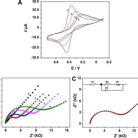 A Cyclic Voltammograms Of A Bare Gce B Sagce C Bsasagce Download Scientific