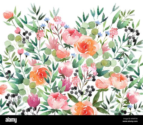 Beautiful watercolor flower background isolated on white background ...