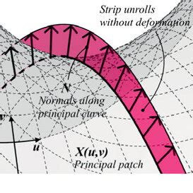 Behavior Of Normal Strips Along Principal And Asymptotic Curves A