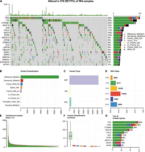 Frontiers Identification Of Key Regulators Of Hepatitis C Virus