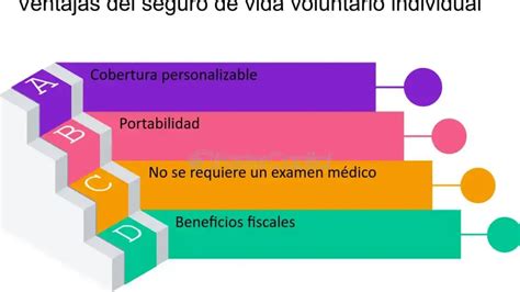 Descubre cuáles son los seguros voluntarios y cómo te benefician