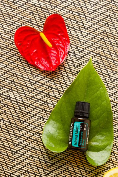 Discover Solutions Island Mint DoTERRA Essential Oils