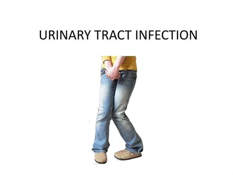 Ppt Urinary Tract Infection Powerpoint Presentation Free Download