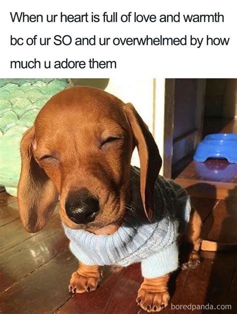 50 Wholesome Relationship Memes You Need To Send To Your Significant