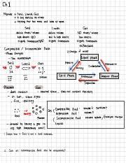 Understanding States Of Matter Solid Liquid Gas And Beyond Course