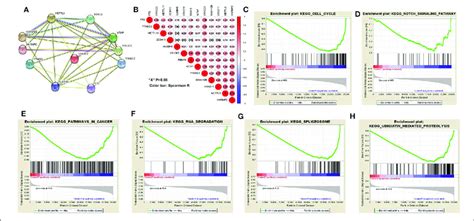 Interaction Among M 6 A Rna Methylation Regulators And Pathway