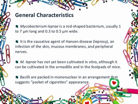 Mycobacterium Leprae