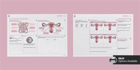 Ks3 Human Reproduction Revision Mat Higher