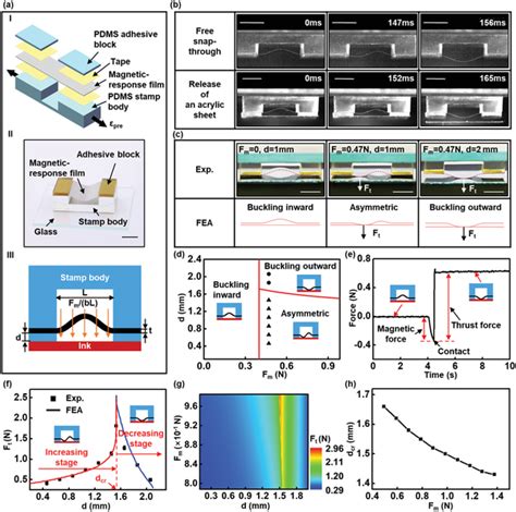 The Deformation Behavior And Adhesion Characteristics Of The Bistable