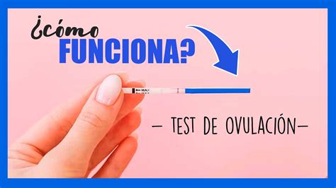 Test De Ovulación Guía Sobre Su Uso Y Funcionamiento 56 OFF