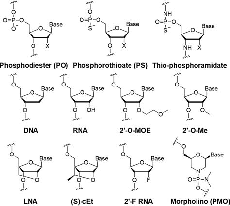 Chemical Modifications Of Oligonucleotides Used In Major Clinical