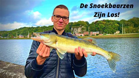 Snoekbaars Vissen In De Maas Met De Shad Youtube