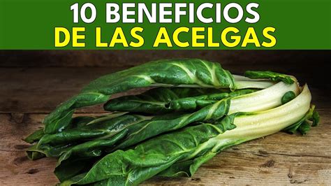 10 Beneficios Saludables De Las Acelgas BENEFICIOS SALUDABLES YouTube