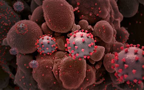 New 'atlas' charts how antibodies attack spike protein variants