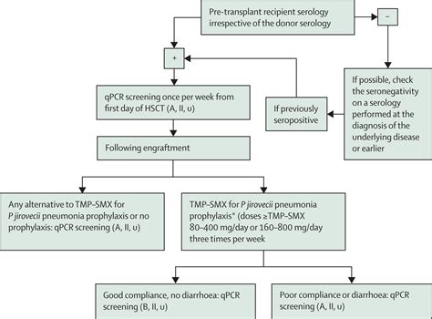 Guidelines For The Management Of Toxoplasma Gondii Infection And Disease In Patients With