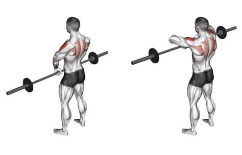 Close Grip Vs Normal Grip Vs Wide Grip Upright Row